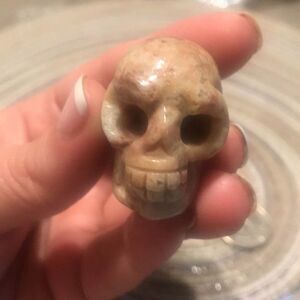 Crazy lace Skull skeleton head